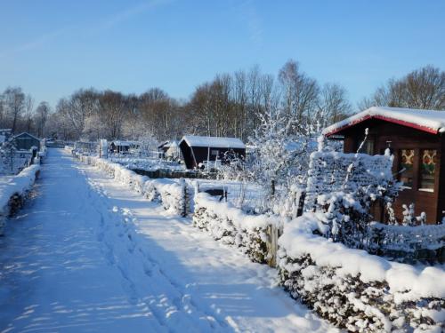 Sneeuw